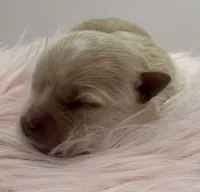 processed/b35efb8d-23d0-4d0a-be95-cfa82985b3fd/listing/75b1cfb7-01ea-4ec4-a782-05c4ce3dbbf1/be1fc841-09c8-490b-83e3-320ff5c4bf5e