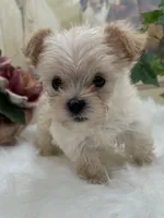 processed/b35efb8d-23d0-4d0a-be95-cfa82985b3fd/listing/75b1cfb7-01ea-4ec4-a782-05c4ce3dbbf1/c9e69284-fd32-47e8-aebe-4c5836cf45d1