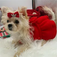 Goldie, a female Maltese and Yorkshire Terrier for sale in Manchester, TN – Photo 1 of 10