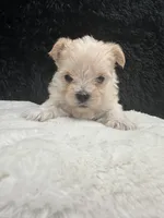 processed/b35efb8d-23d0-4d0a-be95-cfa82985b3fd/listing/75b1cfb7-01ea-4ec4-a782-05c4ce3dbbf1/dc6d00f2-54b3-4520-adbe-9a4dc40da37d