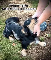 processed/b35f706c-5b94-4840-8e25-30f701e3254f/listing/862df220-32f7-41f5-8016-9eb2a496d4b4/2fb626e9-fcc6-4932-b203-176d419ca177