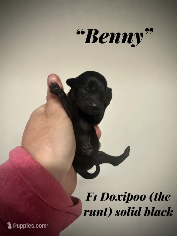 Benny