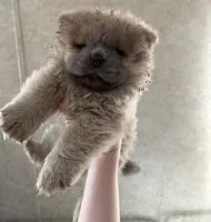 processed/b36059e2-85f4-4da2-8abc-9c37927c9b72/listing/8606c4dc-2a00-428d-a20c-40f6bd39ccdc/f297da97-cca4-49fe-aec6-8069918a3f09