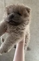 processed/b36059e2-85f4-4da2-8abc-9c37927c9b72/listing/8606c4dc-2a00-428d-a20c-40f6bd39ccdc/f2af37e9-e160-431d-900b-5113b5b0f651