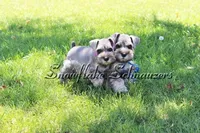 processed/b374439c-a49c-4c12-9bbf-4d94c216bb5b/facility/0634df6b-b596-4417-a53a-1438c2595ef5