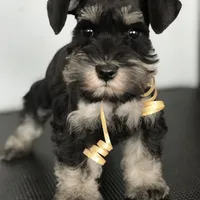 processed/b374439c-a49c-4c12-9bbf-4d94c216bb5b/facility/18ecf36f-e5f3-479d-a9b2-eaeba02f3455