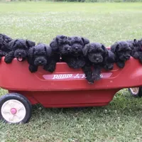 processed/b374439c-a49c-4c12-9bbf-4d94c216bb5b/facility/367716f0-1eea-4dee-9657-f1eb5c8603cf