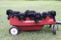 processed/b374439c-a49c-4c12-9bbf-4d94c216bb5b/facility/367716f0-1eea-4dee-9657-f1eb5c8603cf