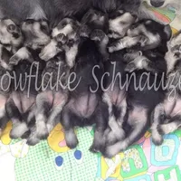 processed/b374439c-a49c-4c12-9bbf-4d94c216bb5b/facility/4724507b-7c36-4fc7-aa40-27b4262bf270