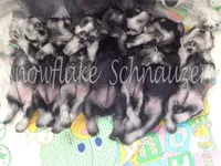 processed/b374439c-a49c-4c12-9bbf-4d94c216bb5b/facility/4724507b-7c36-4fc7-aa40-27b4262bf270