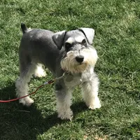 processed/b374439c-a49c-4c12-9bbf-4d94c216bb5b/facility/5e567cdd-2fae-4bcf-9de7-13c287ab604d