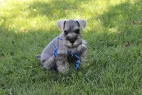 processed/b374439c-a49c-4c12-9bbf-4d94c216bb5b/facility/6021577e-c209-4532-9d49-89e06ece6405