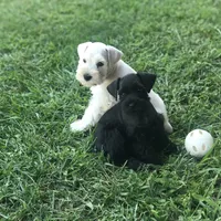 processed/b374439c-a49c-4c12-9bbf-4d94c216bb5b/facility/a9b6652d-4fe5-4520-861c-1548877a6d4d