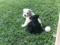 processed/b374439c-a49c-4c12-9bbf-4d94c216bb5b/facility/a9b6652d-4fe5-4520-861c-1548877a6d4d