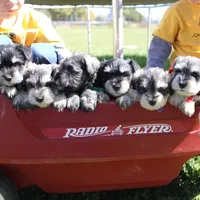 processed/b374439c-a49c-4c12-9bbf-4d94c216bb5b/facility/edadf453-4bc1-413c-9cb0-5f1c509b7127