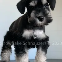 processed/b374439c-a49c-4c12-9bbf-4d94c216bb5b/facility/f0cc0b12-3141-4c26-8808-3dc043712ad5