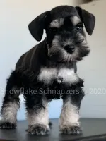 processed/b374439c-a49c-4c12-9bbf-4d94c216bb5b/facility/f0cc0b12-3141-4c26-8808-3dc043712ad5