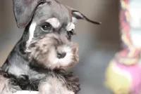 processed/b374439c-a49c-4c12-9bbf-4d94c216bb5b/listing/5baddc67-4683-44da-8c03-a8c51ba01072/4792a3ac-0564-45a9-afc3-0dced1884491