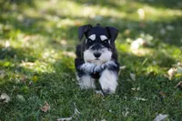 processed/b374439c-a49c-4c12-9bbf-4d94c216bb5b/listing/c0b182f7-8b06-4335-9ce4-2105099bc04c/3b05f776-19f5-46da-86d4-a6dea5e5185d