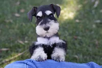 processed/b374439c-a49c-4c12-9bbf-4d94c216bb5b/listing/c0b182f7-8b06-4335-9ce4-2105099bc04c/9c3cb1c1-9c9a-4ac7-b8fb-ab0c86fc0342