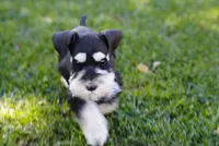 processed/b374439c-a49c-4c12-9bbf-4d94c216bb5b/listing/c0b182f7-8b06-4335-9ce4-2105099bc04c/a4ca138f-7ebd-49cf-bc3a-f1100fd13c42