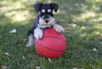 processed/b374439c-a49c-4c12-9bbf-4d94c216bb5b/listing/c0b182f7-8b06-4335-9ce4-2105099bc04c/e9a897dc-dfc8-4f4d-a833-50e21dd97a42