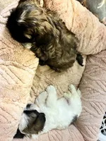 processed/b37cad96-75f8-47eb-aab9-ff44b45a223b/listing/50383b11-0b5c-4342-a4b5-c5b94647ca95/2df73388-0c07-4241-a92f-f099ee01826b