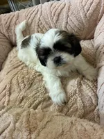 processed/b37cad96-75f8-47eb-aab9-ff44b45a223b/listing/50383b11-0b5c-4342-a4b5-c5b94647ca95/4a579380-1ea8-465e-b577-e66ee6bb7037