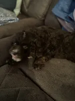 processed/b380802d-0d49-4f64-a67a-3300e911c277/listing/4aac7dc9-2b1e-40e6-89d0-63c69b30d34a/055de05e-3f3c-436f-a308-2f1dac051110