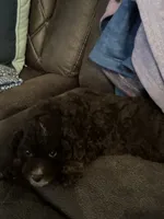 processed/b380802d-0d49-4f64-a67a-3300e911c277/listing/4aac7dc9-2b1e-40e6-89d0-63c69b30d34a/93fe01c5-4b65-4e42-8297-7e1e66709d50