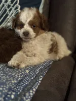 processed/b380802d-0d49-4f64-a67a-3300e911c277/listing/8c84594a-063c-4ddd-9df1-e7bd6a17e8db/4b384e84-0f4f-4a54-8c56-0192fe590699