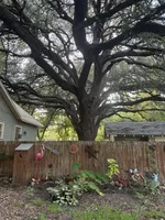 processed/b3851ba6-c20a-4290-9484-37f00eab132f/facility/fe8829d8-920f-4098-93fa-f1166c4d8be3