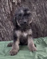 processed/b3851ba6-c20a-4290-9484-37f00eab132f/listing/05d0cb1d-4086-4b64-b2d9-f906ad358caf/1218bee7-d7a6-4ead-bfde-42693844a338