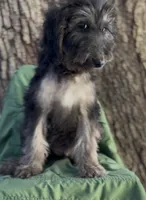 processed/b3851ba6-c20a-4290-9484-37f00eab132f/listing/05d0cb1d-4086-4b64-b2d9-f906ad358caf/a7d38a89-6e22-4431-9bb0-167705ad4a8f