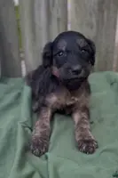 processed/b3851ba6-c20a-4290-9484-37f00eab132f/listing/05d0cb1d-4086-4b64-b2d9-f906ad358caf/bdfd50e1-6c2b-41b9-858c-9b95f6c61b5a