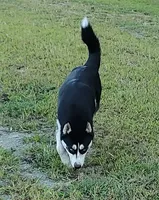 processed/b3855e0e-d49e-4cb9-92c8-9dc77e208558/listing/08f258f8-dc4b-4f5d-9969-aa9912751c55/7a78e55b-ef81-41c4-94c6-a7d3e0c0d5a1