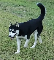 processed/b3855e0e-d49e-4cb9-92c8-9dc77e208558/listing/08f258f8-dc4b-4f5d-9969-aa9912751c55/cf178999-e9eb-4a44-8bde-644447b6efa4