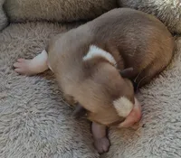 processed/b3855e0e-d49e-4cb9-92c8-9dc77e208558/listing/0a91e248-bccf-46ba-87d6-627c73a3125e/d3745463-c608-4c08-bef1-fcc8f39abfa1