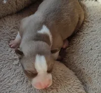 processed/b3855e0e-d49e-4cb9-92c8-9dc77e208558/listing/0a91e248-bccf-46ba-87d6-627c73a3125e/efa000c3-ad34-4ba2-aa01-e07e26ec1ac5