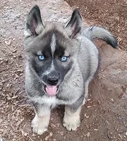 processed/b3855e0e-d49e-4cb9-92c8-9dc77e208558/listing/1cb47d91-a727-41f2-9d8f-dd3ae3eb4235/82e16027-fb95-4e91-aa47-162ba44239de