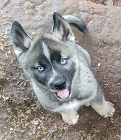 processed/b3855e0e-d49e-4cb9-92c8-9dc77e208558/listing/1cb47d91-a727-41f2-9d8f-dd3ae3eb4235/d3edbd19-624c-424b-a901-4f065431127c