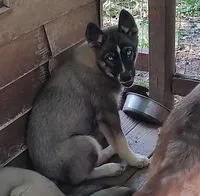 processed/b3855e0e-d49e-4cb9-92c8-9dc77e208558/listing/1cb47d91-a727-41f2-9d8f-dd3ae3eb4235/e5d703c8-c7e9-4b83-a842-cf7de2473734