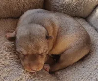 processed/b3855e0e-d49e-4cb9-92c8-9dc77e208558/listing/47977fa4-d6ba-4dfb-98f1-59f85abced97/ed645baf-66f3-444d-8639-a7e239700b50