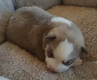 processed/b3855e0e-d49e-4cb9-92c8-9dc77e208558/listing/58667ea7-d7d7-46e0-9892-ec9fc89591e5/3a60da79-886f-4ad5-bd03-5e6f66a8f099