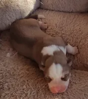 processed/b3855e0e-d49e-4cb9-92c8-9dc77e208558/listing/58667ea7-d7d7-46e0-9892-ec9fc89591e5/473c9980-058f-49ba-a064-af59c5ce5159