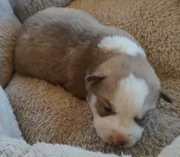 processed/b3855e0e-d49e-4cb9-92c8-9dc77e208558/listing/58667ea7-d7d7-46e0-9892-ec9fc89591e5/4ec1e56a-c54d-4790-9049-5b2147e94063