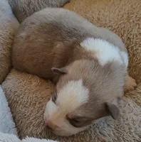 processed/b3855e0e-d49e-4cb9-92c8-9dc77e208558/listing/58667ea7-d7d7-46e0-9892-ec9fc89591e5/676e20c4-f4e1-4b2c-ab23-75be6c034c34