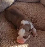 processed/b3855e0e-d49e-4cb9-92c8-9dc77e208558/listing/58667ea7-d7d7-46e0-9892-ec9fc89591e5/8787593e-6cea-48ad-89a5-36ee2f66f7e7