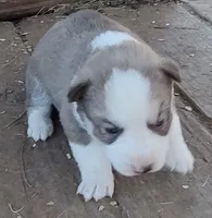 processed/b3855e0e-d49e-4cb9-92c8-9dc77e208558/listing/58667ea7-d7d7-46e0-9892-ec9fc89591e5/a14fcbc1-c792-4255-a414-feb26cdb7d0c