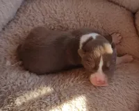 processed/b3855e0e-d49e-4cb9-92c8-9dc77e208558/listing/a4bd3cff-aca8-4556-937e-9e952ea9d8bc/0619b5b7-59c3-48c8-8456-2dec1beed614